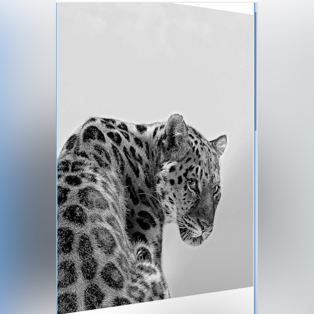 NWT No Label Tiger Poster Black White Designer Art Luxury Print 16x24in Unframed